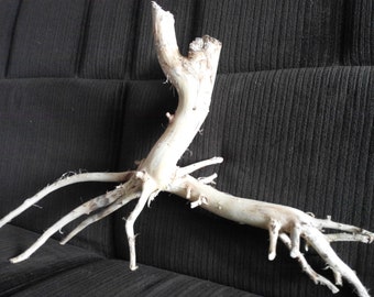 large driftwood for aquarium, reptile