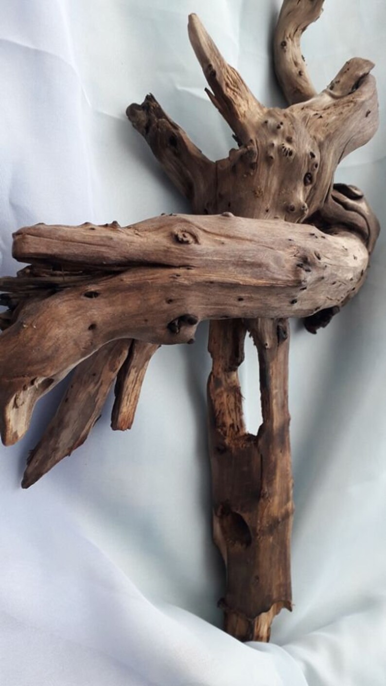 Driftwood for Aquarium Spider Terrarium Completely Dried Etsy