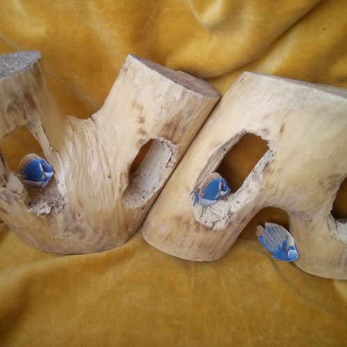 Shops two driftwood for aquarium natural ash