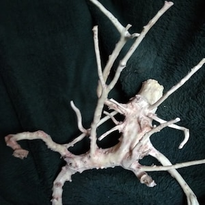 driftwood for an aquarium spider terrarium 16.9*11.8*15.7 inches