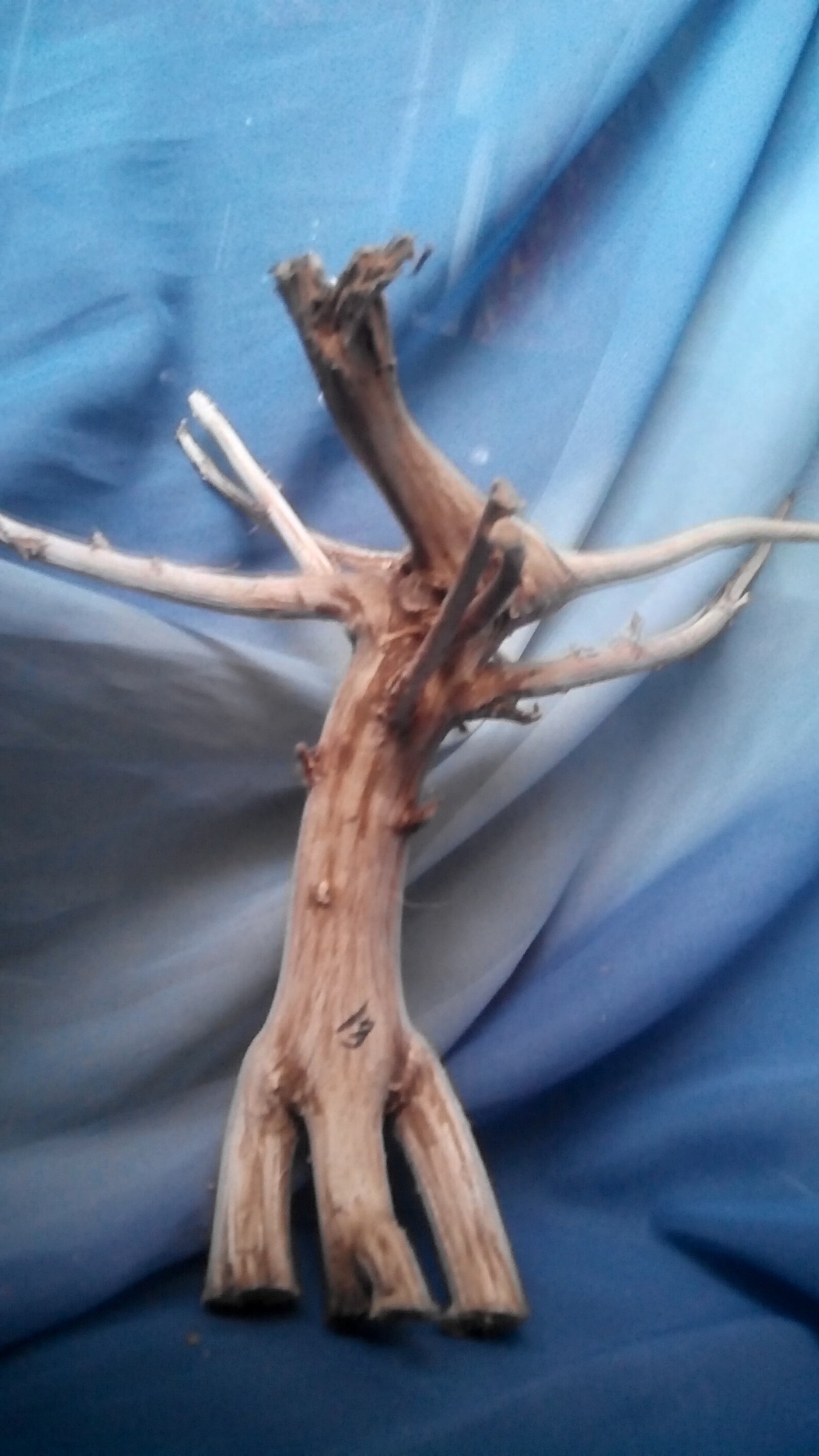 Aquarium driftwood driftwood spider terrarium aquarium Etsy