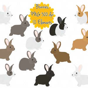 Bunny Clipart |Rabbit Clipart | Easter Bunny Graphics | Rabbit Printable | Instant Download | Cute Digital Clip Art | Rabbit Download png