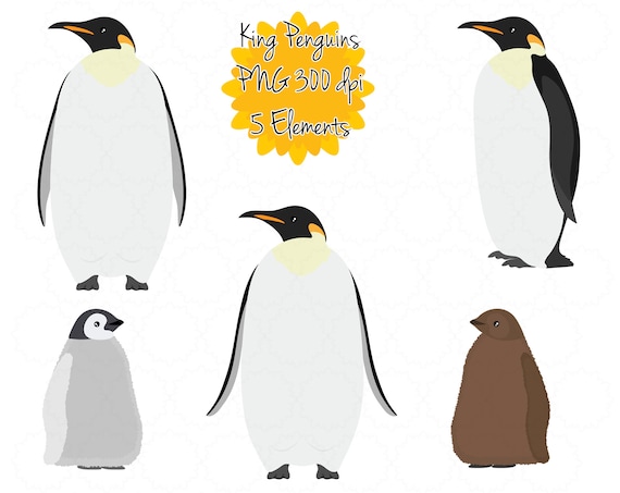 King Penguin Clipart Penguin Clip Art Penguin Baby Graphic Etsy