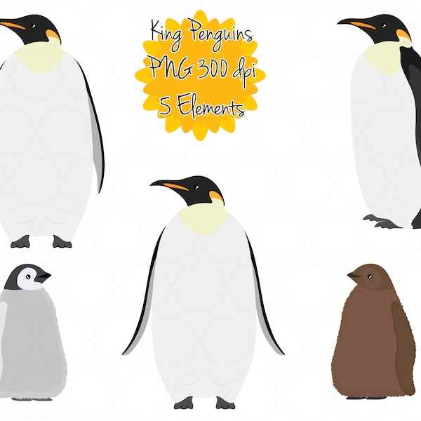 König Pinguin Clipart | Pinguin ClipArt | Pinguin Baby Grafik Png | Pinguin druckbare | Sofortiger Download | Digitale Kunst | Niedlichen Pinguin Küken