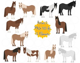 Caballos Clipart / Pony Clip Art / Caballo Gráfico png / Instant Descargar Arte Digital Imprimible / Granja Animal Negro Piebald Gris Palomino Pinto
