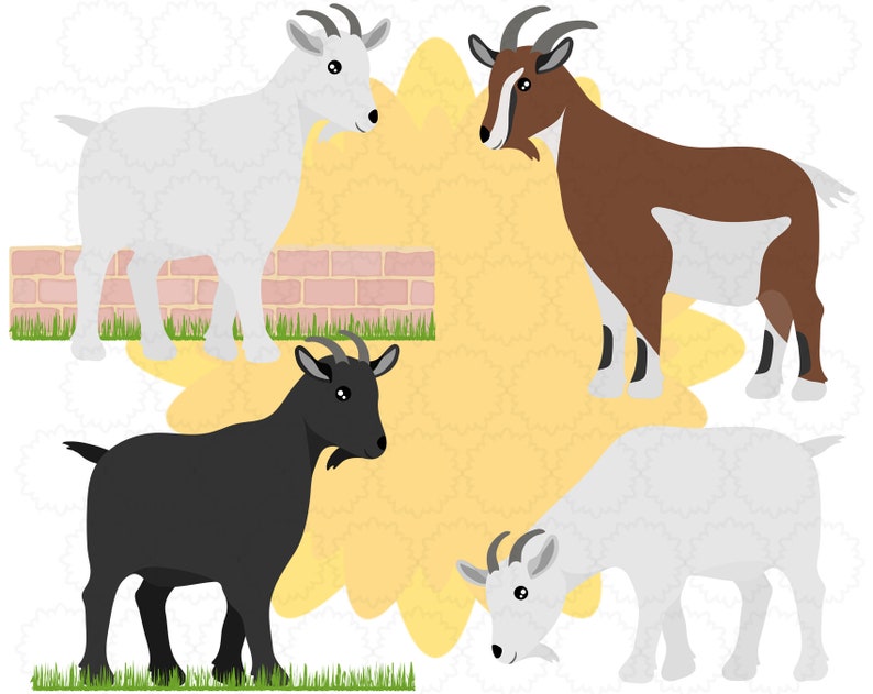 Puede incluir: Cuatro cabras, dos blancas, una marr&oacute;n y una negra, est&aacute;n de pie en un campo de hierba con un muro de ladrillo en el fondo. Las cabras est&aacute;n todas mirando en diferentes direcciones.
