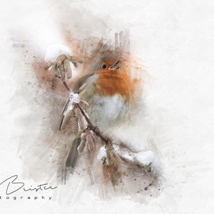 Snowy Robin... Print, Canvas or Wall Acrylic...