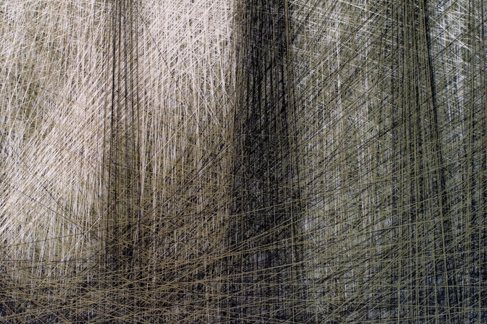 Forest String Art Colorful Portrait or DIY Kit - Etsy