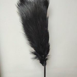 Antique Black Edwardian HUGE Millinery feather for hat , 1910