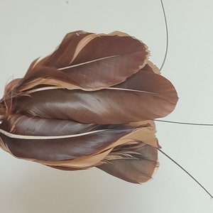 Millinery feather original France 1900 belle époque