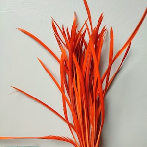 Millinery feathers for hat 1910&#39;s era