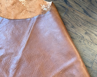 May include: A piece of brown leather with a lighter brown patch on the top edge.