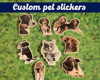 Custom pet sticker (10 count ) | Custom stickers