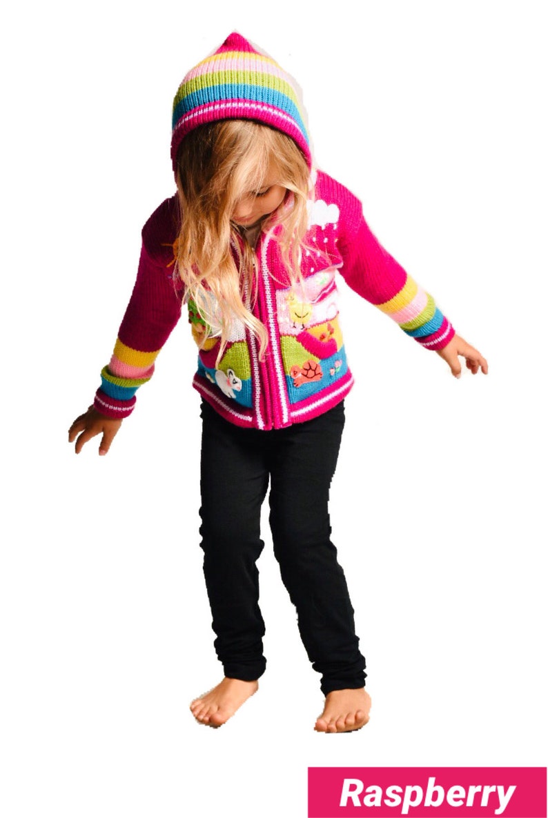 Kids Sweater Cardigan with Embroidered Details , Hooded Jacket, Girl Boy Sweater, Jumper, Handmade, Babyshower Gift, Newborn Gift image 3