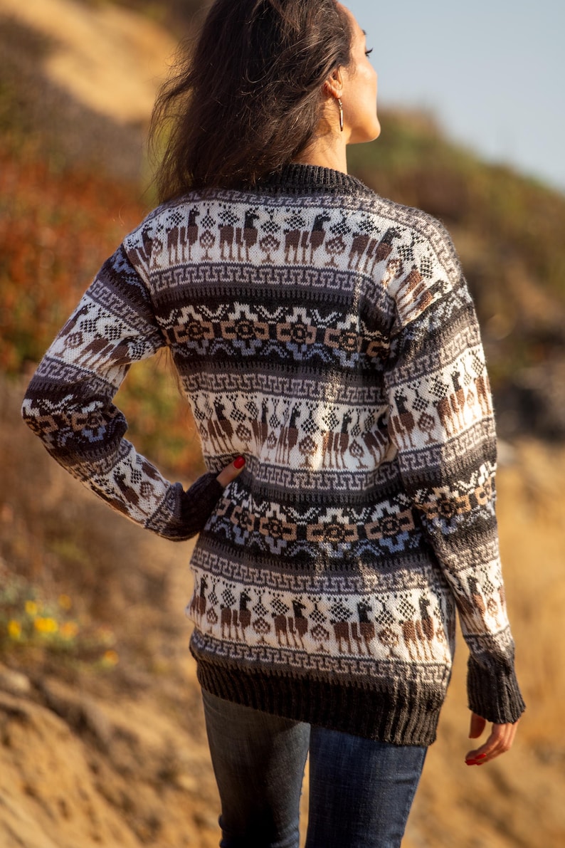 May include: A brown and white alpaca sweater with a geometric pattern. The sweater has a crew neck and long sleeves.