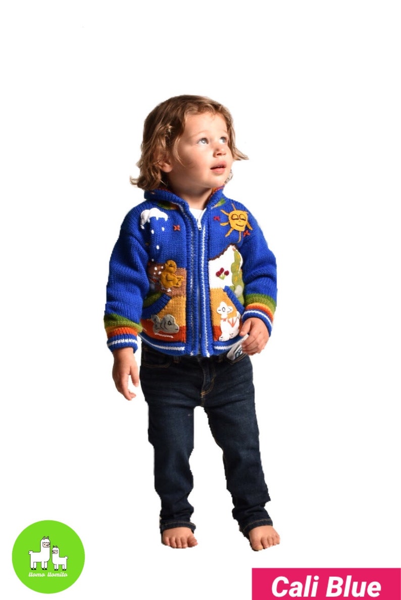 Kids Sweater Cardigan with Embroidered Details , Hooded Jacket, Girl Boy Sweater, Jumper, Handmade, Babyshower Gift, Newborn Gift Cali Blue