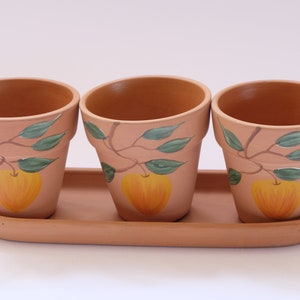 Puede incluir: Tres macetas de terracota con una bandeja a juego. Cada maceta está decorada con un diseño pintado a mano de una manzana amarilla y hojas verdes. Ideales para plantar hierbas o flores pequeñas.