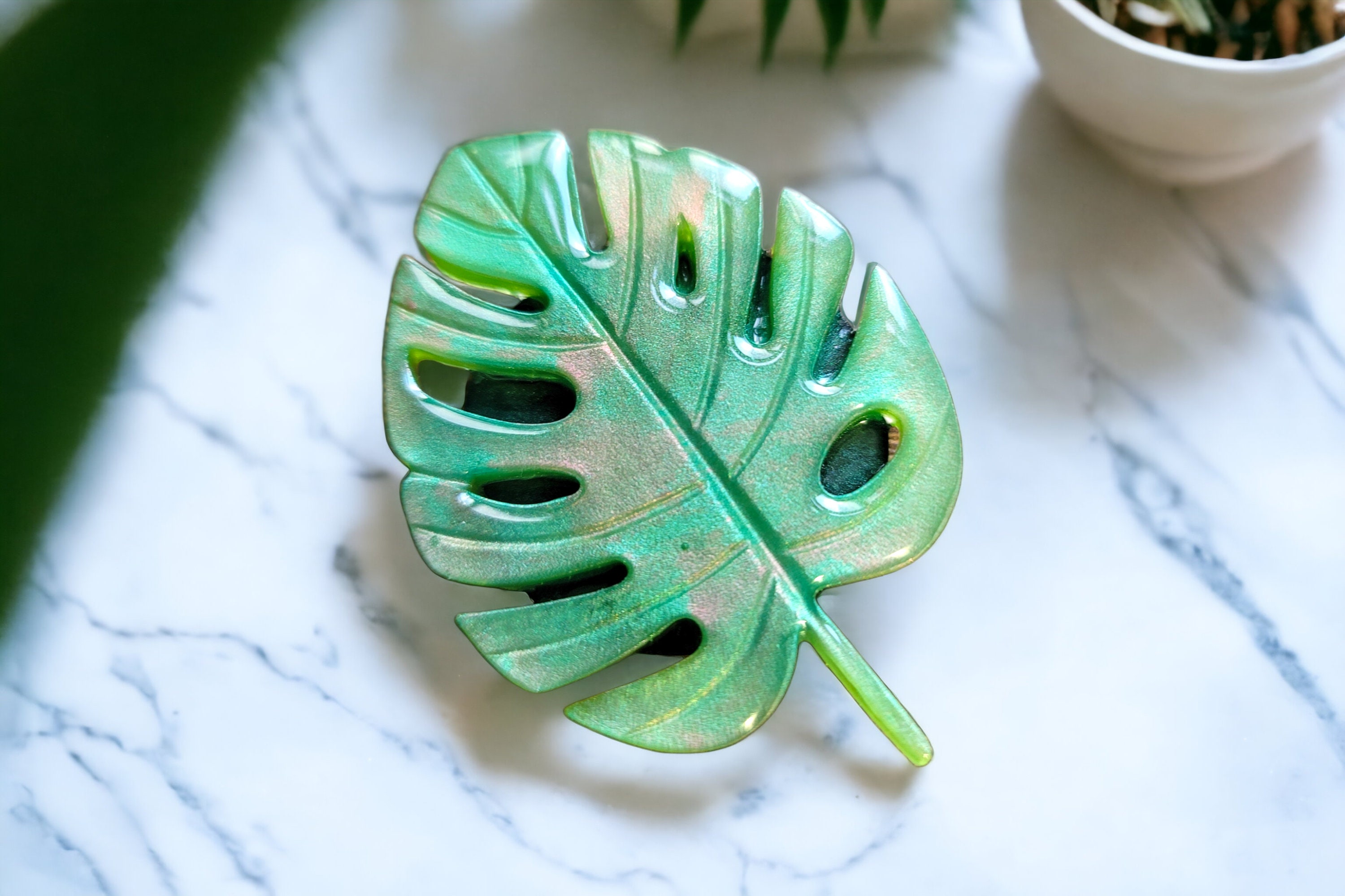 monstera monica Monstera 'Deliciosa' – ECOVIBE main image 0