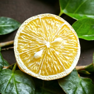 Puede incluir: Primer plano de un limón cortado en rodajas con semillas visibles, descansando sobre un lecho de hojas verdes. El limón es de color amarillo brillante y las hojas son de un verde vibrante.