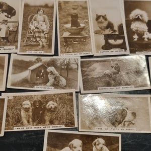 16 Vintage Zigaretten Bildchen 30er Jahre