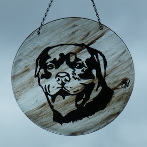 Fused Glass Rottweiler Sun Catcher/Wall Hanging