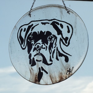 Fused Glass Boxer Sun Catcher/Wall Hanging