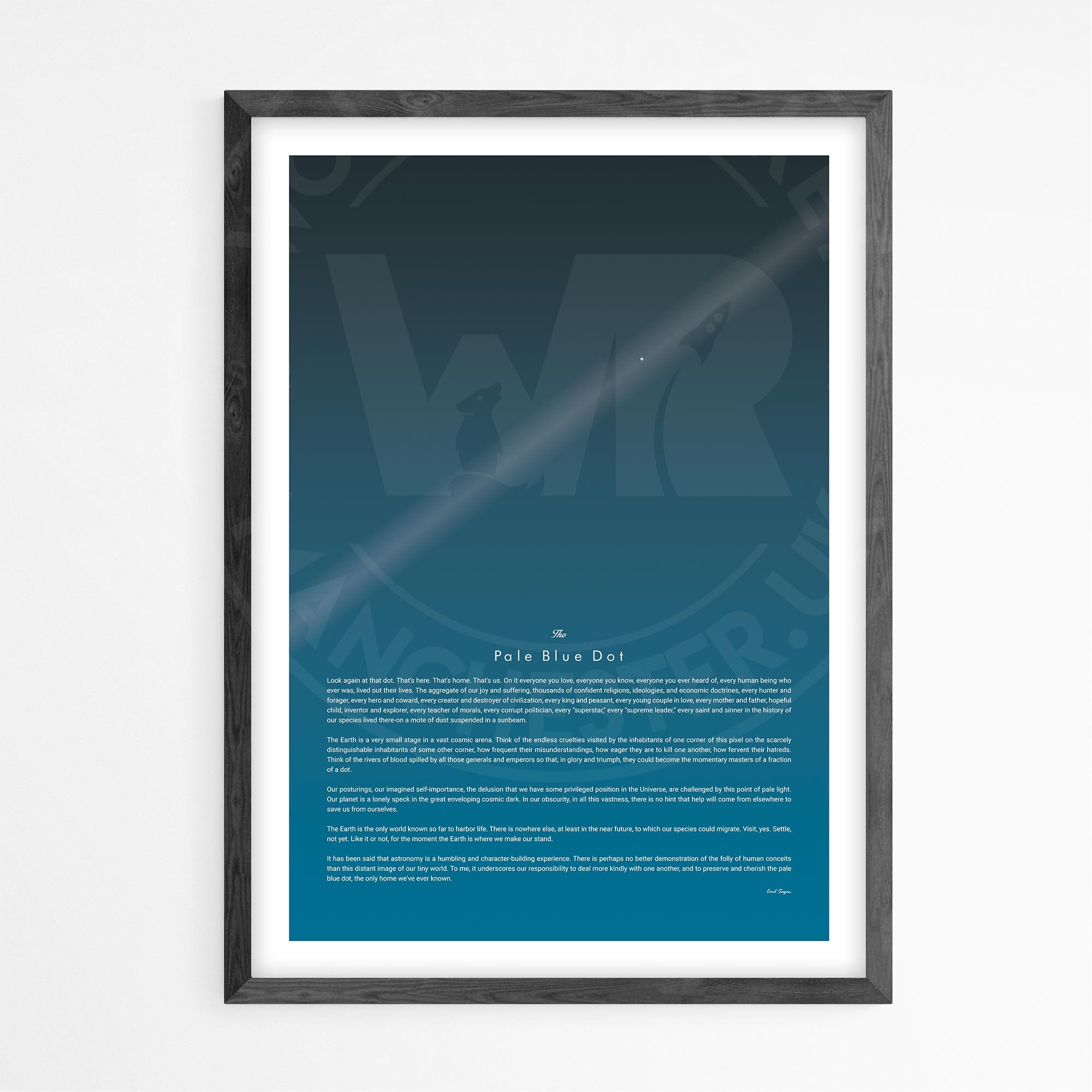 Carl Sagan the Pale Blue Dot Print Full Quote Poster Print Etsy Australia