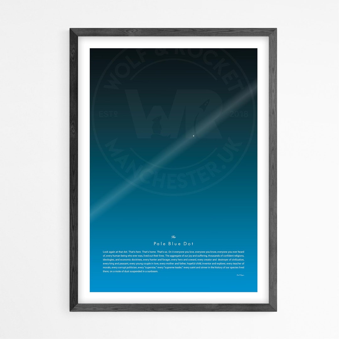Carl Sagan The Pale Blue Dot Print, Poster Print, Inspirational Quote, Astronomy print. Minimalist Poster, Wall Art