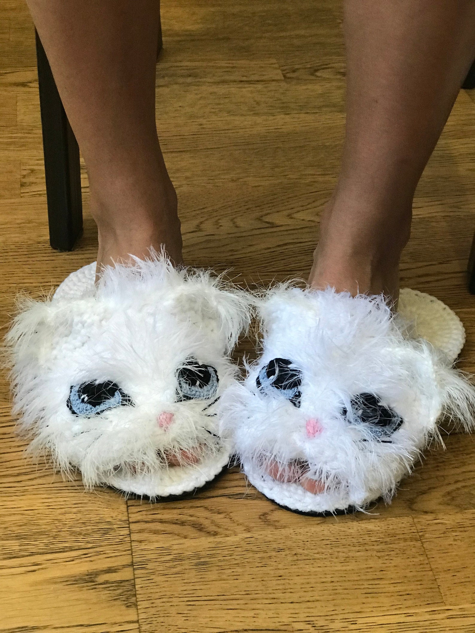 cat in slippers