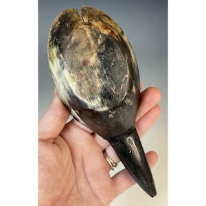 Puede incluir: Un cuerno vintage, con una combinación de colores marrón oscuro y crema. El cuerno tiene un acabado liso y pulido y una punta afilada. La parte superior del cuerno tiene una hendidura, lo que se suma a su carácter único. Esta pieza antigua probablemente se usa para beber o almacenar.