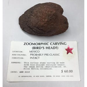 Pre-Columbian Basalt Stone Carved Avian ZOOMORPHIC Ancient Artifact PRE-CLASSIC