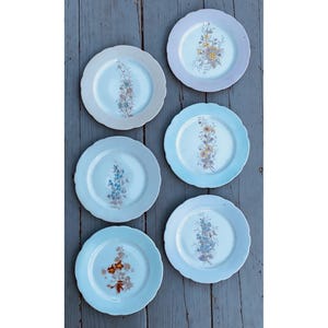 Set of 6 Antique Porcelain Decorative Wall Art Plates Victorian Edwardian Color