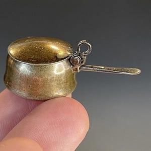 May include: A miniature silver-toned saucepan with a lid. The small pot has a handle and a loop on the side. The lid is a lighter colour than the pot. The pot is held between two fingers.