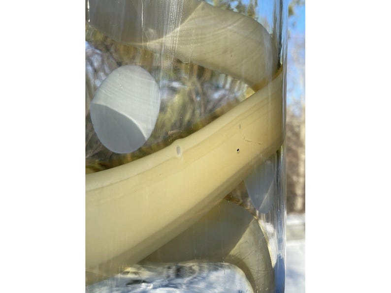 May include: A close-up of a clear glass vase filled with white and yellow glass pieces. The glass pieces are arranged in a spiral pattern. The vase is sitting on a white surface.