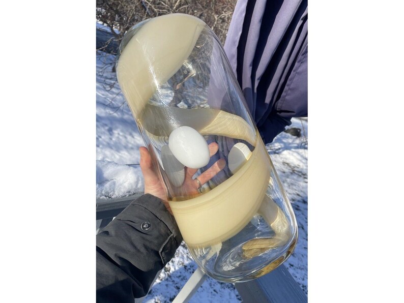 May include: A large, clear glass vase with a swirling, cream-colored design. The vase is filled with a white, round object.
