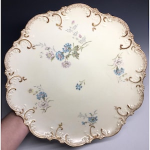 Antike Frankreich Limoges Klingenberg Dwenger Servierplatte Blumen Jugendstil