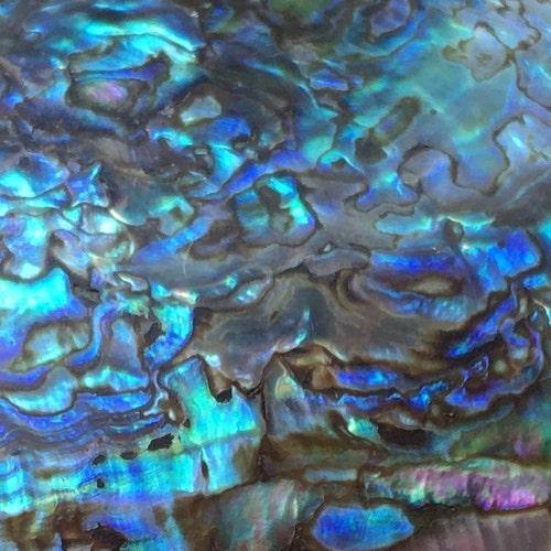 アンティーク 水月磁器 天神蟹湯呑み 日本焼 湯のみ 大正昭和 - Etsy 日本