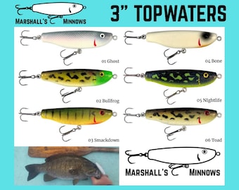 4" Glidebait Handmade Fishing Lure: 60 Colors, Handcarved From Maple, Made  in USA - Etsy