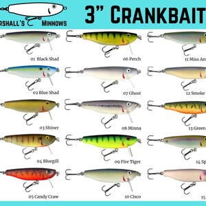 50 pound box frozen bait fish 4625G  Menhaden, 50lb Open, Gulf Caught  Aylesworth's Fish and Bait