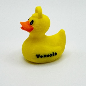 Multicolor duck keychain pack, cruising ducks, 3D printed ducks, cruise gift exchange, stateroom door decor for cruise, gift for kids