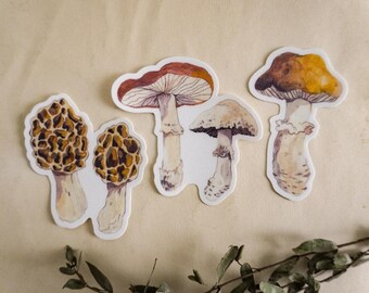 Champignons ~ Pack d'autocollants en vinyle ~ Stickers champignons