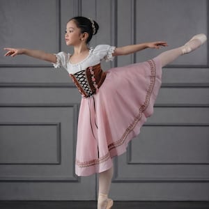 Chiffon Dance Ballet Dress
