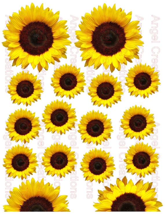 Sunflower clear or white waterslide tumbler decal ready to use small waterslide images FOR PEN WRAPS or small size projects