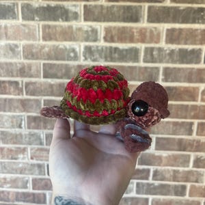 Freddy Kruger Turtle
