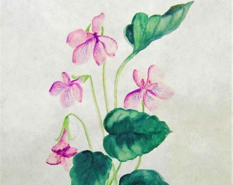 Blank Cards, *3-PACK*, "Wild Violets", Greeting Cards, Nature, Garden, Print, Watercolor, Painting,  Notecard