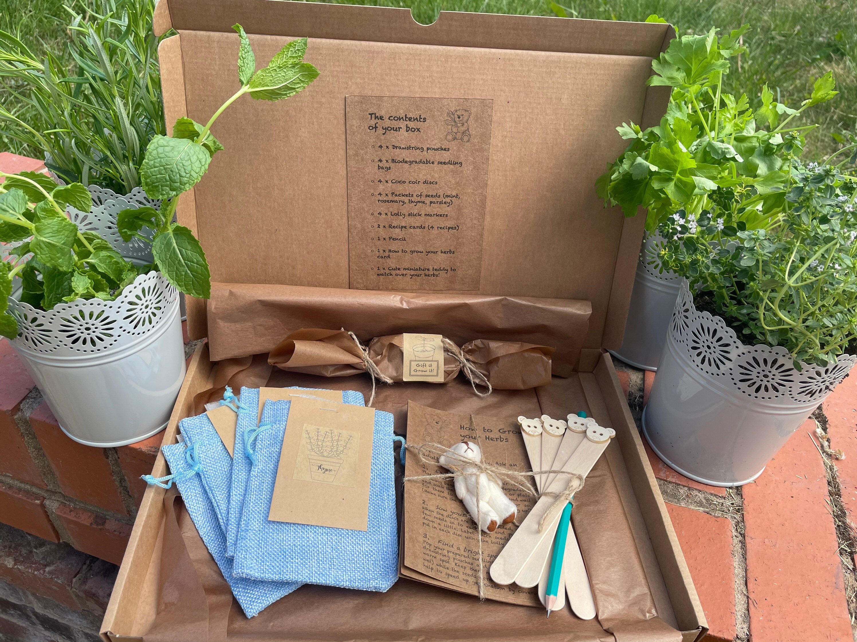 Herb Seed Growing Kit for Kids Eco Friendly Gift to Grow Etsy UK