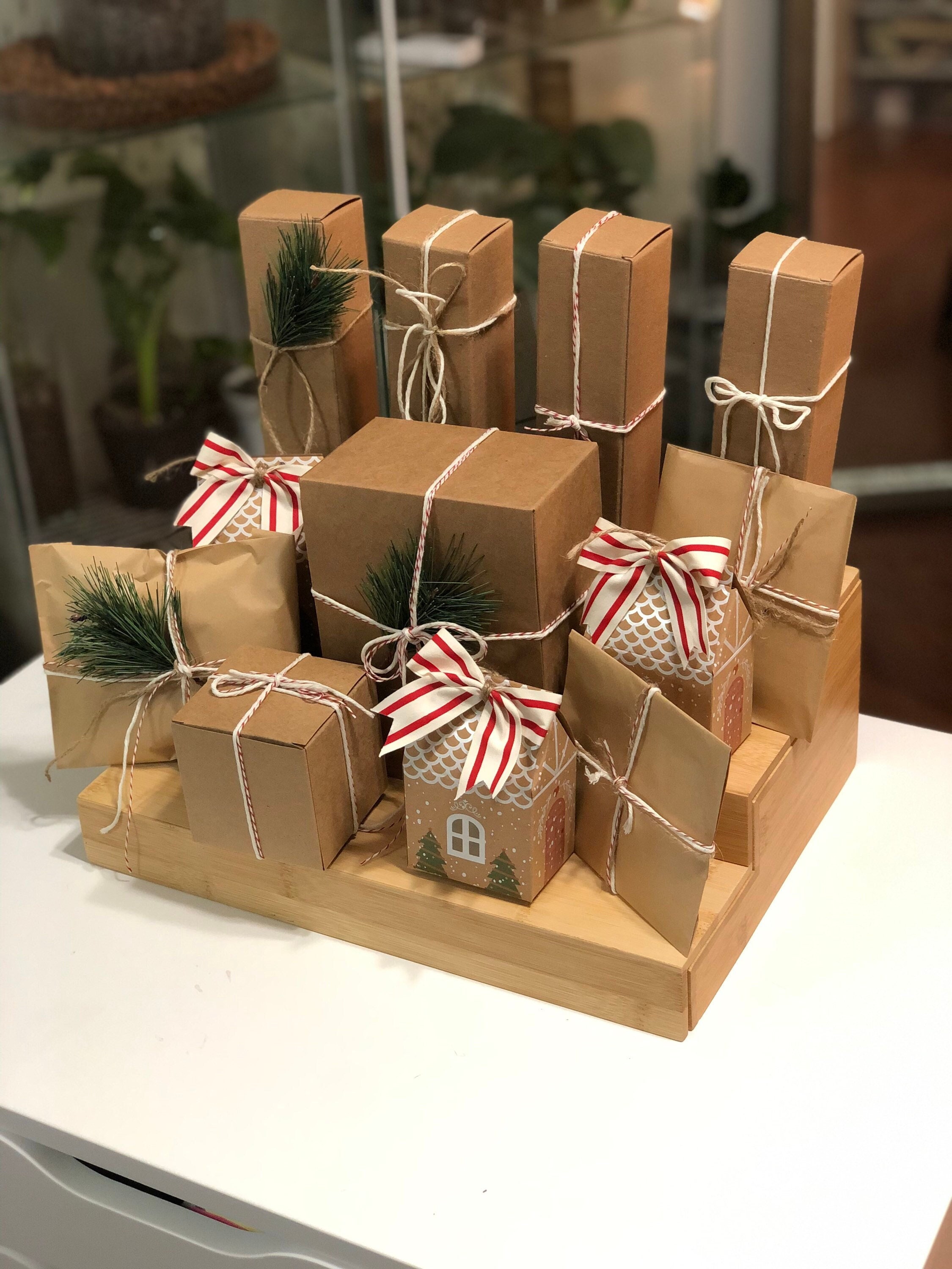 12 Days of Houseplants Winter Advent Calendar Advent Etsy