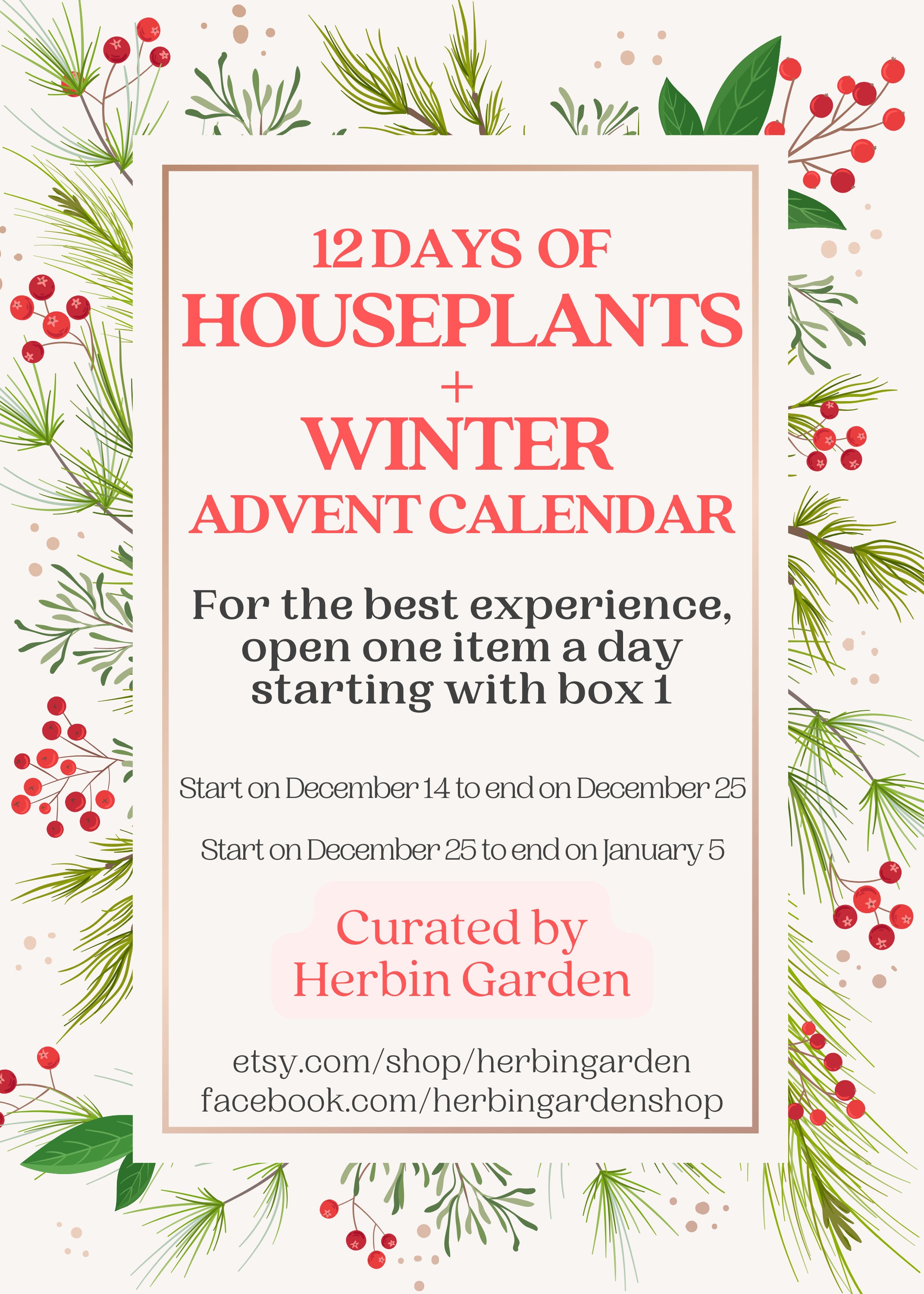 12 Days of Houseplants Winter Advent Calendar Advent Etsy