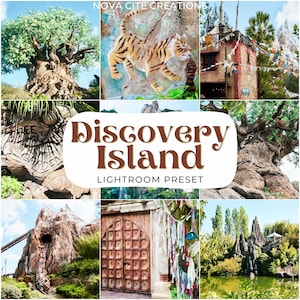 Paramètres prédéfinis Discovery Island, Paramètres prédéfinis Voyage, Paramètres prédéfinis Blogger, Paramètres prédéfinis vibrants, Paramètres prédéfinis Terre