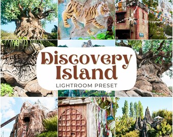 Discovery Island mobilförinställning, jordnära vibrerande filter (digital nedladdning)